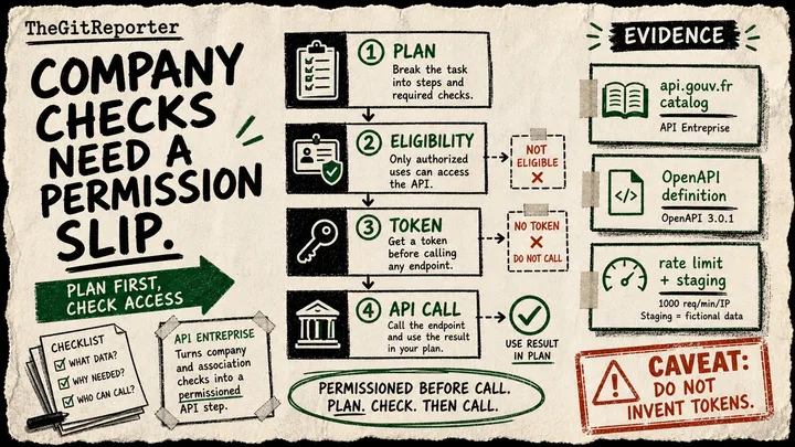 Diagram Punk poster showing an API Entreprise request plan stopped at eligibility and token checks before any company-data call.