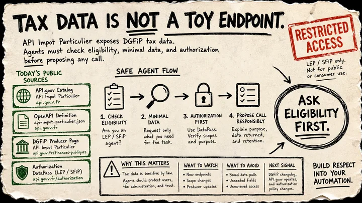 Rough Diagram Punk poster showing API Impot Particulier with eligibility-first and restricted-access warnings.